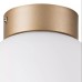 Настенно-потолочный светильник Lightstar Globo 812013 шампань