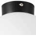 Настенно-потолочный светильник Lightstar Globo 812027 черная