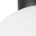Настенно-потолочный светильник Lightstar Globo 812027 черная