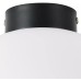 Настенно-потолочный светильник Lightstar Globo 812037 черная