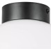 Настенно-потолочный светильник Lightstar Globo 812117 бронза