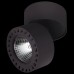 Потолочный светодиодный светильник Lightstar Forte 381373 черная