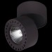 Потолочный светодиодный светильник Lightstar Forte 381374 черная