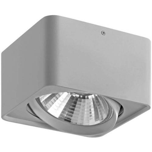 Потолочный светильник Lightstar Monocco 212619 серый