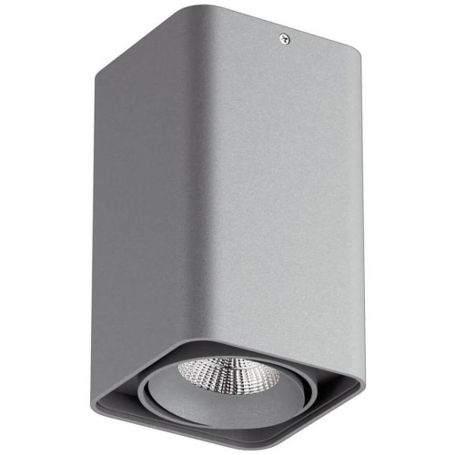 Потолочный светодиодный светильник Lightstar Monocco 052139 серый
