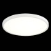 Настенно-потолочный светодиодный светильник ST Luce ST601.532.32 Белый