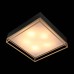 Потолочный светильник ST Luce Chodo SL1127.422.05 Черный