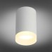 Потолочный светильник Omnilux Rotondo OML-100709-01 Белый