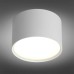 Потолочный светодиодный светильник Omnilux Salentino OML-100909-06 Белый