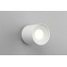 Потолочный светодиодный светильник Omnilux Torino OML-100309-16 Белый