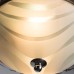 Потолочный светильник Arte Lamp 28 A3008PL-2CC Белый