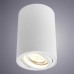 Потолочный светильник Arte Lamp A1560PL-1WH Белый