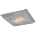 Потолочный светильник Arte Lamp A4866PL-2CC Белый
