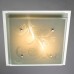 Потолочный светильник Arte Lamp A4866PL-2CC Белый