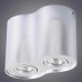 Потолочный светильник Arte Lamp A5644PL-2SI Серебро