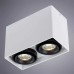 Потолочный светильник Arte Lamp A5655PL-2WH Белый