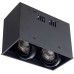 Потолочный светильник Arte Lamp Cardani A5942PL-2BK Черный