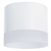 Потолочный светильник Arte Lamp Castor A5554PL-1WH Белый