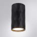 Потолочный светильник Arte Lamp Fang A5557PL-1BK Черный