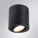 Потолочный светильник Arte Lamp Fang A5559PL-1BK Черный