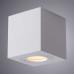 Потолочный светильник Arte Lamp Galopin A1461PL-1WH Белый
