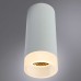 Потолочный светильник Arte Lamp Ogma A5556PL-1WH Белый