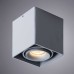 Потолочный светильник Arte Lamp Pictor A5654PL-1GY Серый