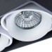 Потолочный светильник Arte Lamp Pictor A5654PL-2BK Черный