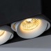 Потолочный светильник Arte Lamp Pictor A5654PL-2BK Черный