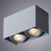 Потолочный светильник Arte Lamp Pictor A5654PL-2GY Серый