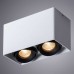 Потолочный светильник Arte Lamp Pictor A5654PL-2WH Белый