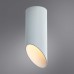 Потолочный светильник Arte Lamp Pilon A1615PL-1WH Белый