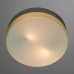 Потолочный светильник Arte Lamp Shirp A3211PL-2WH Белый