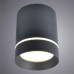 Потолочный светодиодный светильник Arte Lamp A1909PL-1BK Черный