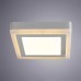 Потолочный светодиодный светильник Arte Lamp Altair A7716PL-2WH Белый