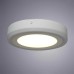Потолочный светодиодный светильник Arte Lamp Antares A7816PL-2WH Белый