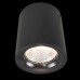 Потолочный светодиодный светильник Arte Lamp Facile A5118PL-1BK Черный