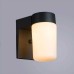 Уличный настенный светильник Arte Lamp Spasso A8058AL-1GY Белый