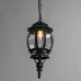 Уличный подвесной светильник Arte Lamp Atlanta A1045SO-1BG Медь