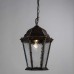 Уличный подвесной светильник Arte Lamp Genova A1205SO-1BN Черный