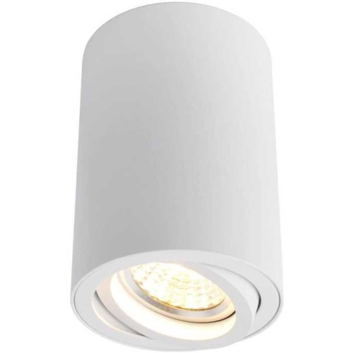 Потолочный светильник Arte Lamp A1560PL-1WH Белый