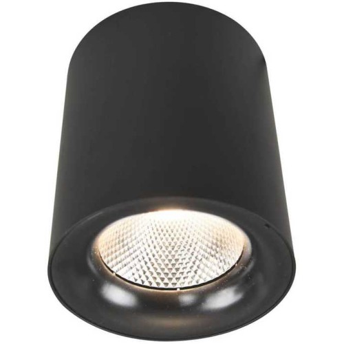 Потолочный светодиодный светильник Arte Lamp Facile A5118PL-1BK Черный