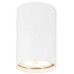 Потолочный светильник Ambrella light Techno Spot TN213101 Белый