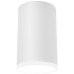 Потолочный светильник Ambrella light Techno Spot TN336 Белый