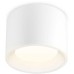 Потолочный светильник Ambrella light Techno Spot TN5321 Белый