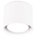 Потолочный светильник Ambrella light Techno Spot TN700 Белый