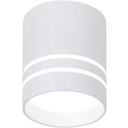 Потолочный светодиодный светильник Ambrella light Techno Spot TN240 Белый