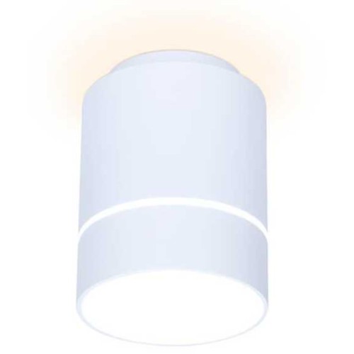 Потолочный светодиодный светильник Ambrella light Techno Spot TN256 Белый