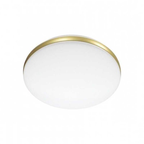 Настенно-потолочный светодиодный светильник Sonex Ringo 7626/AL Белый