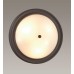 Настенно-потолочный светильник Lumion Vintage Nina 5260/3C Белый